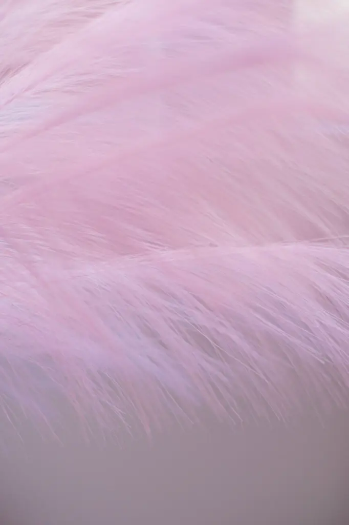 martin-de-arriba-Mi6iic32OoA-unsplash (1).webp